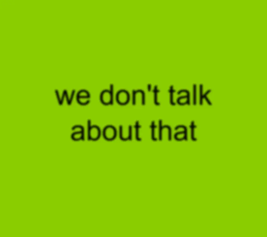 brat image with inside joke we don't talk about that