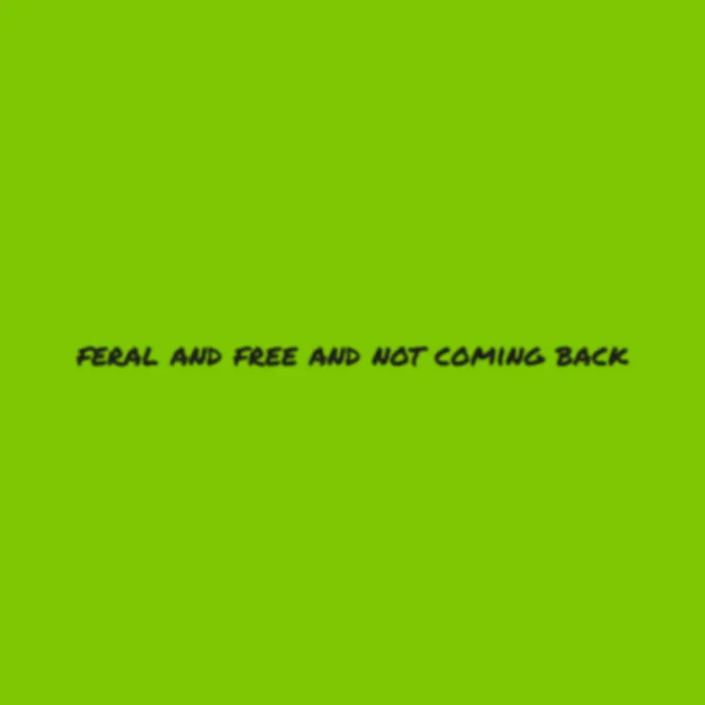 feral brat style image
